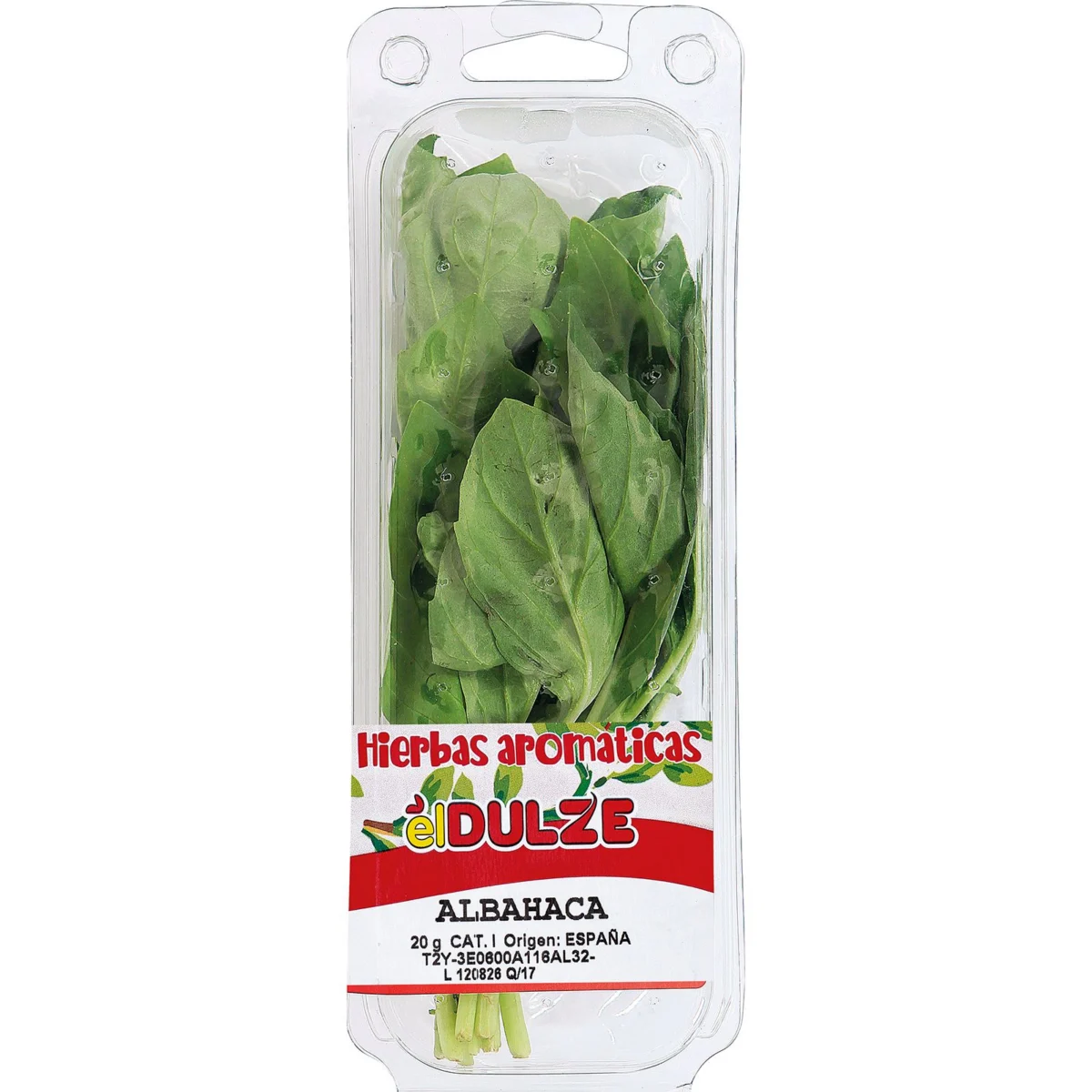Basilic, barquette El Dulze