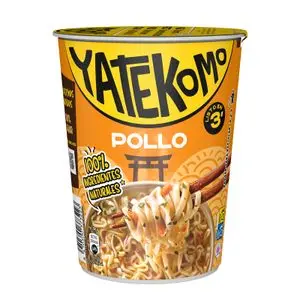 Oriental chicken noodles Yatekomo