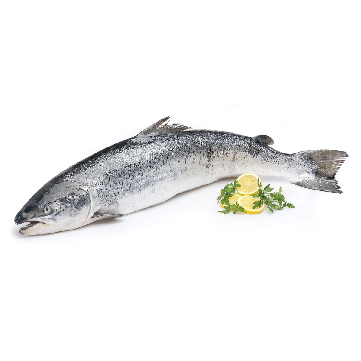 Whole salmon or halves