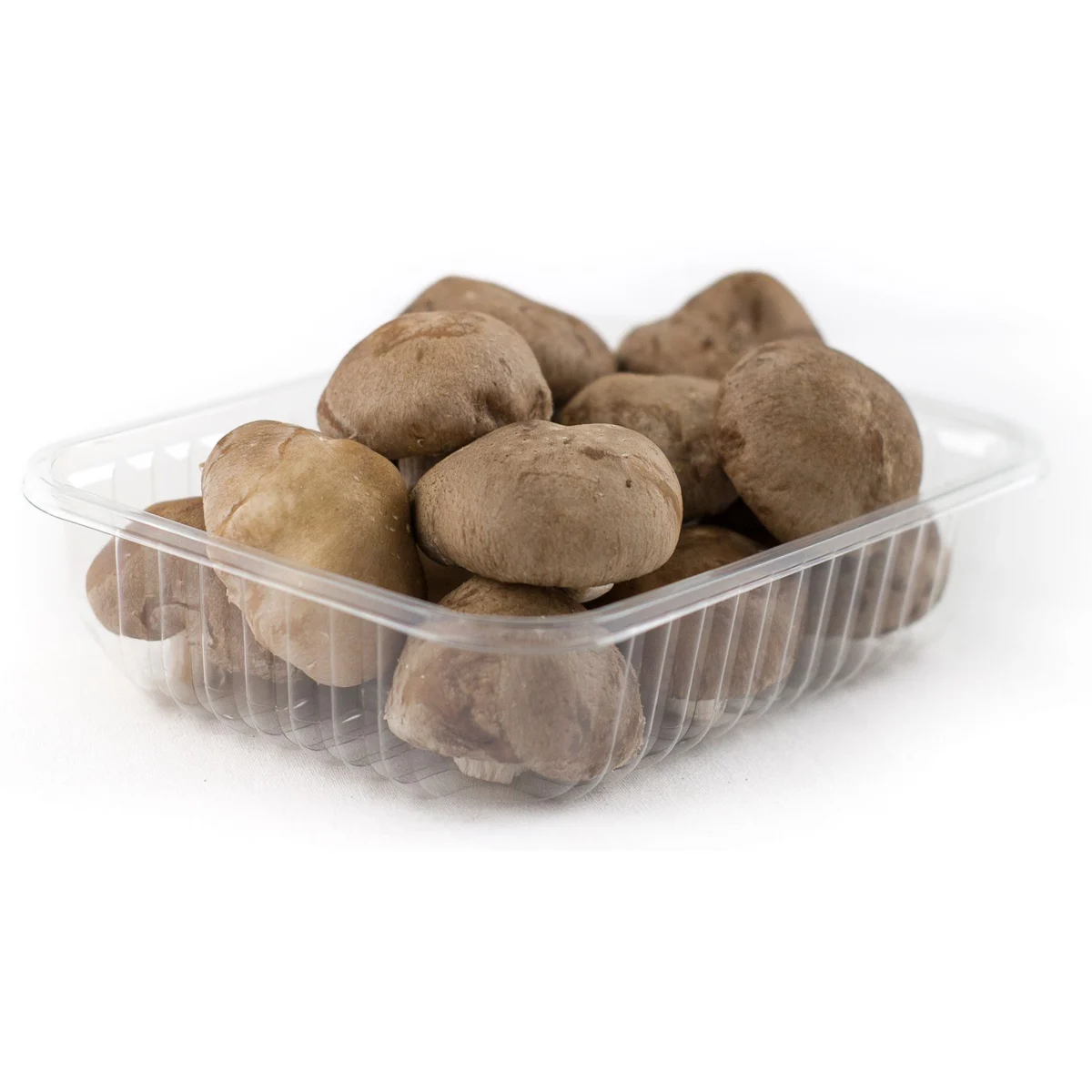 Champignons shiitakés, barquette
