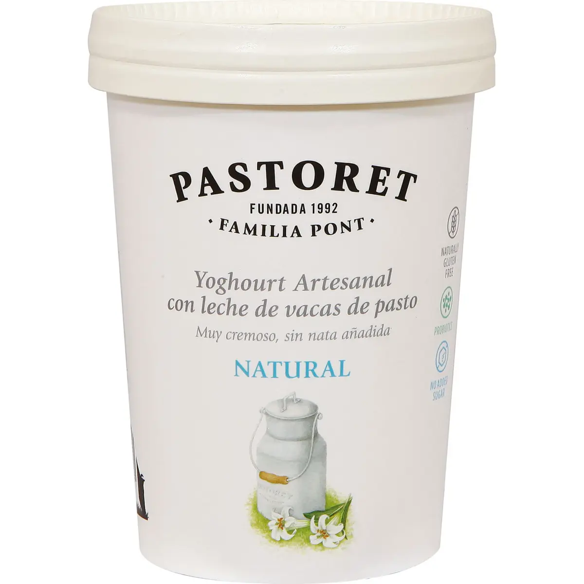 Artisan Natural Yogurt El Pastoret