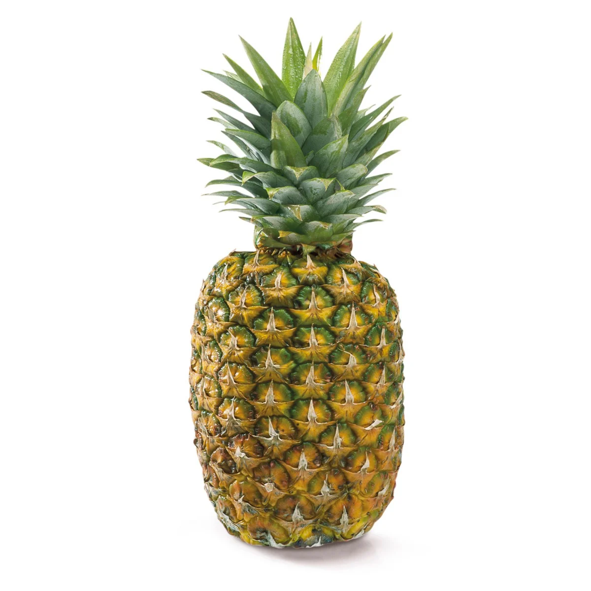 Ganze Ananas