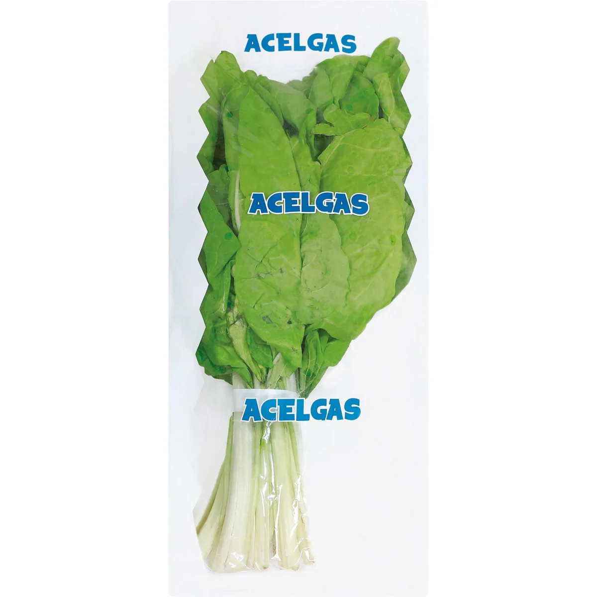 Bleda en manat, pes aproximat 500 gr