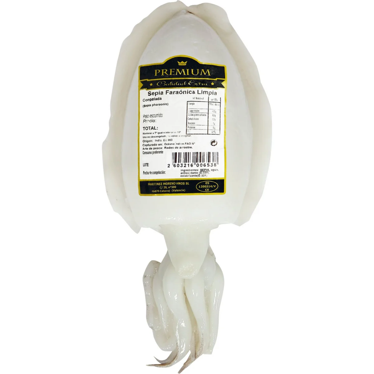 Cleaned pharaoh cuttlefish