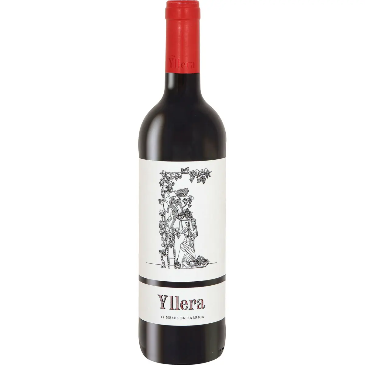 Rotwein 12 Monate V.T. Castilla y León Yllera