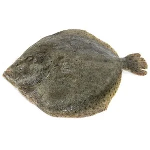 Rodaballo Entero o Mitad