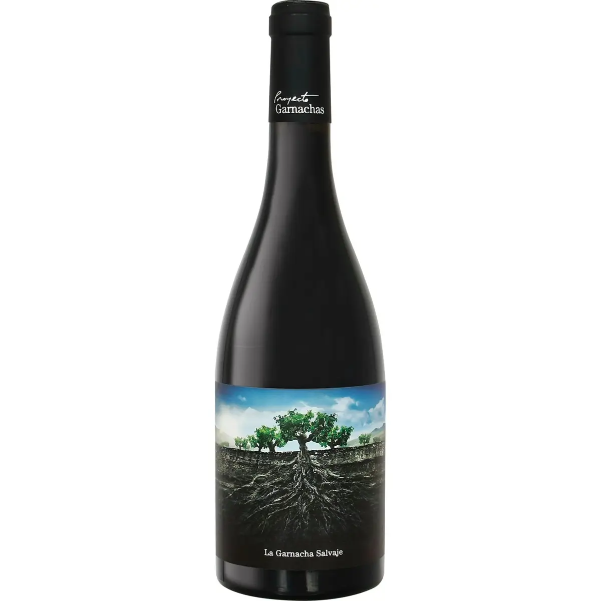 Vin rouge I.G.P. Ribera del Queiles Gar.salvaje