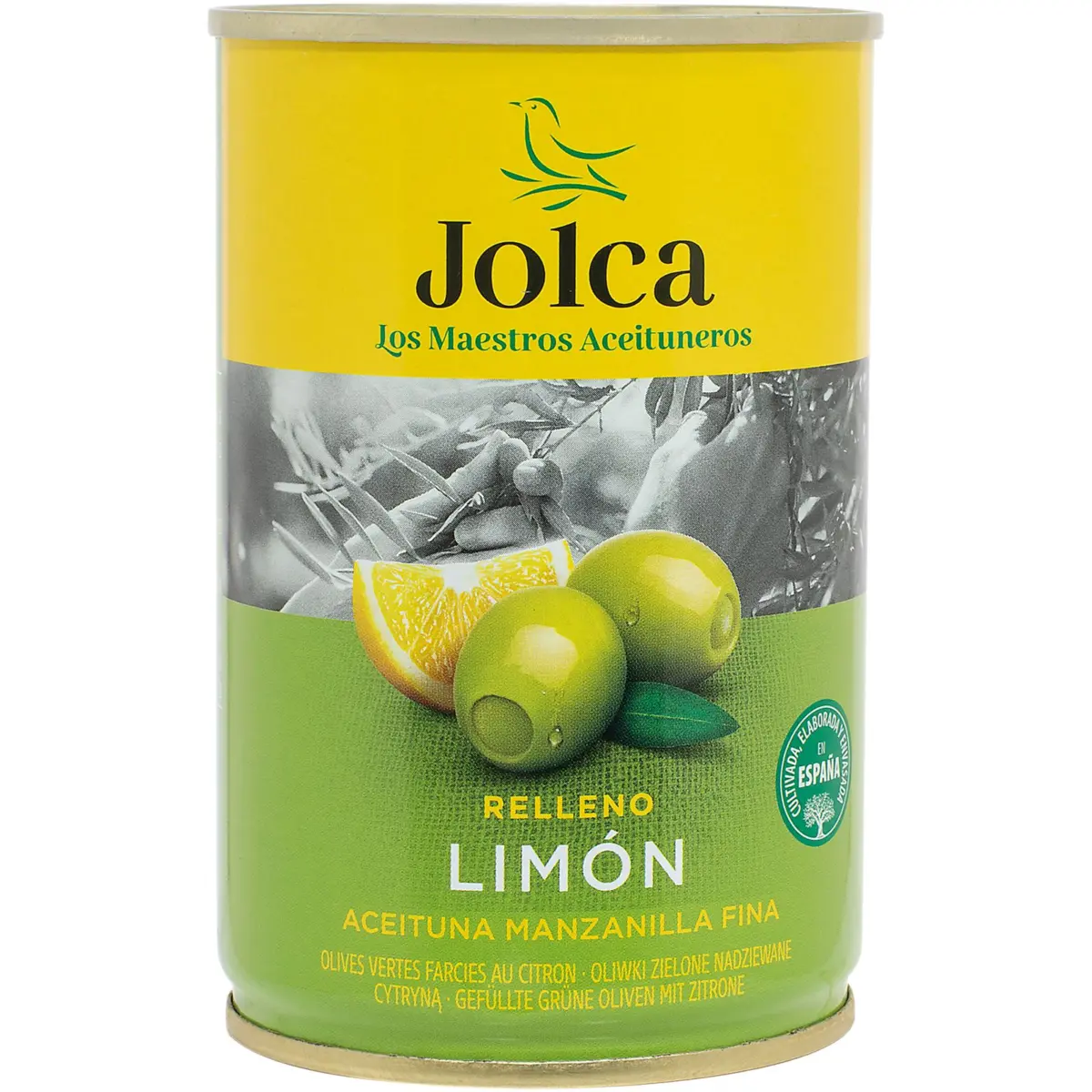Grüne, mit Zitrone gefüllte Olive Jolca