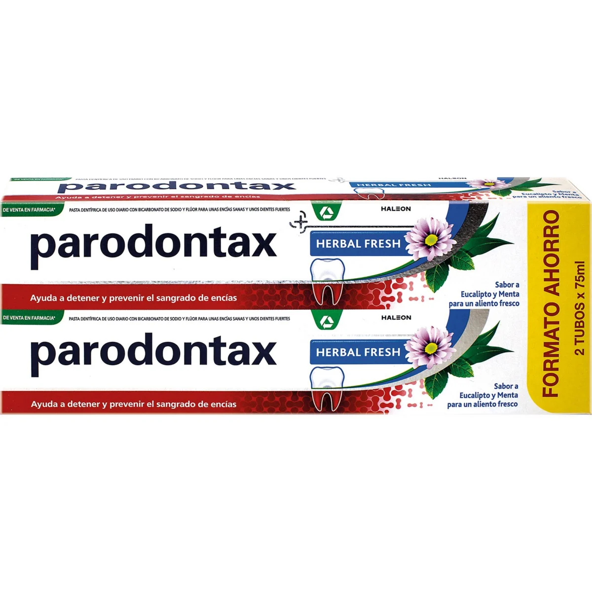 Doppelpack Zahnpasta Herbal Fresh Parodontax