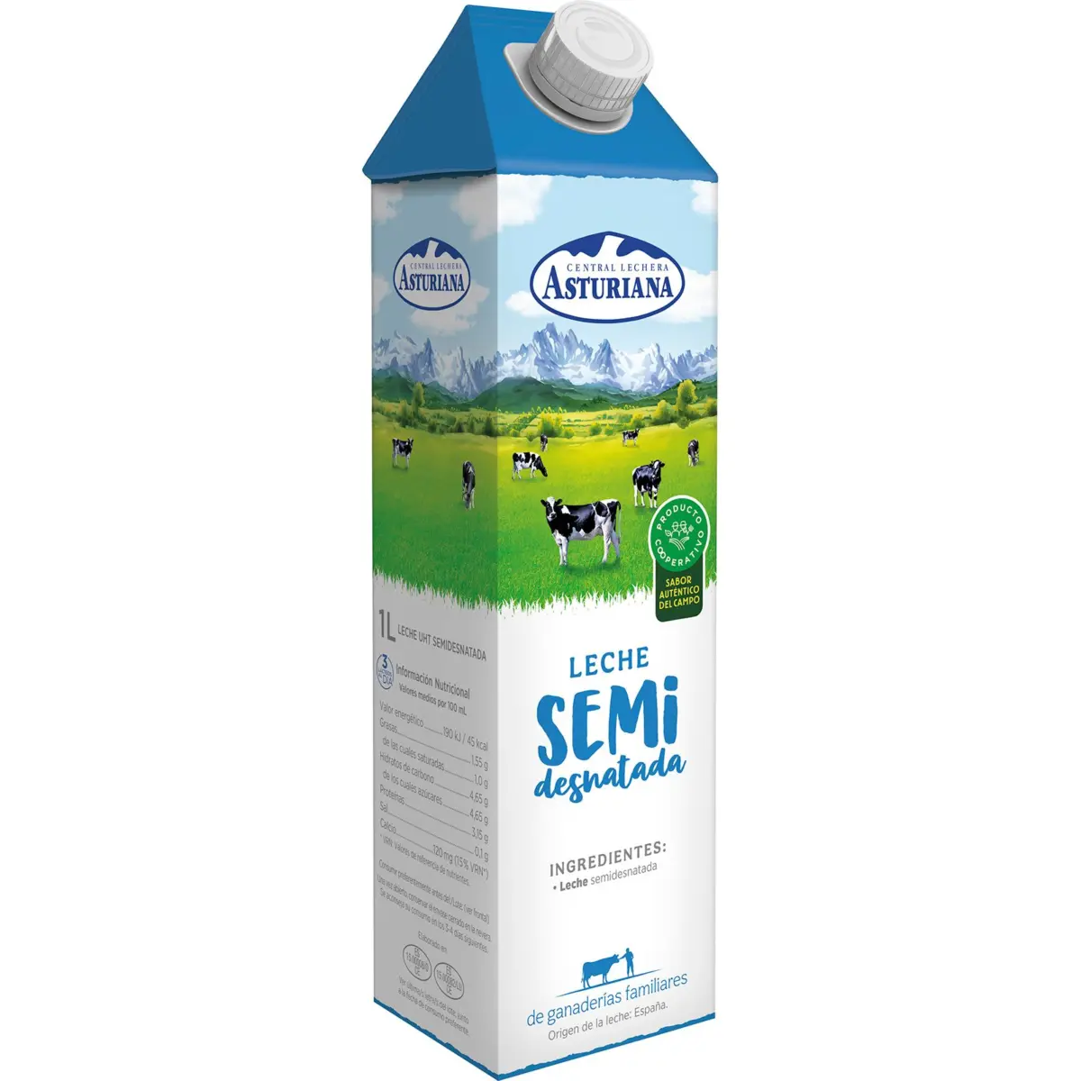 Fettarme Milch Asturiana, Karton