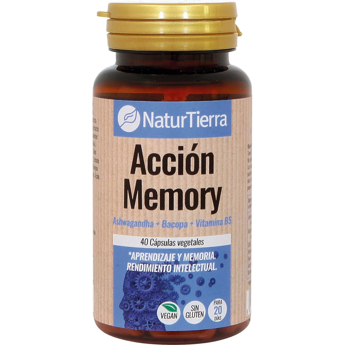 Memory Action Capsules for Learning and Memory Naturtierra