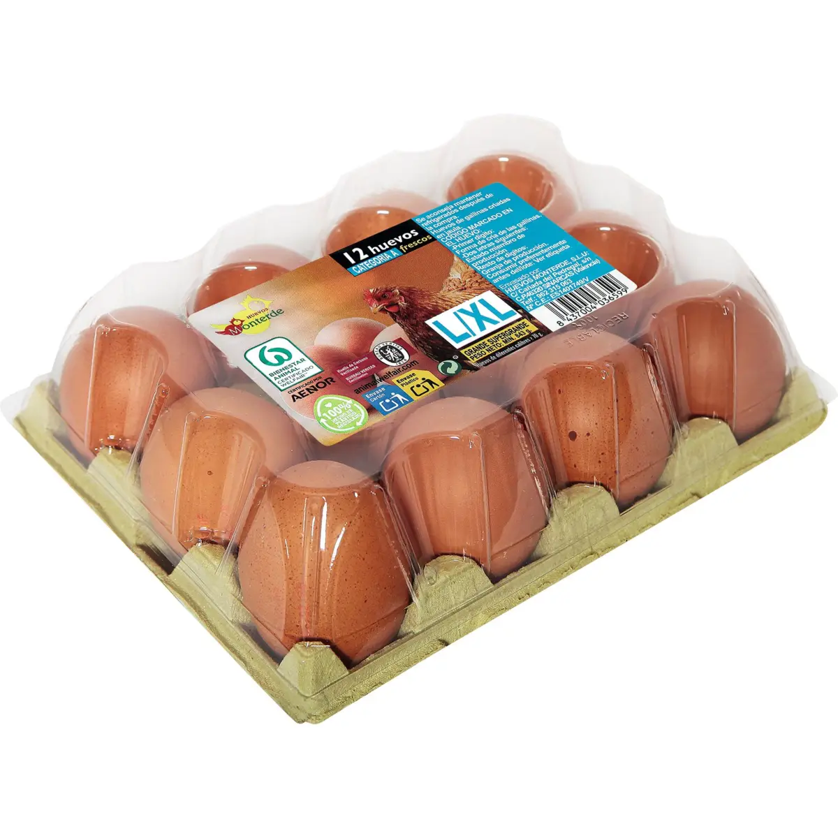 Eier L/XL, Dutzend Monterde