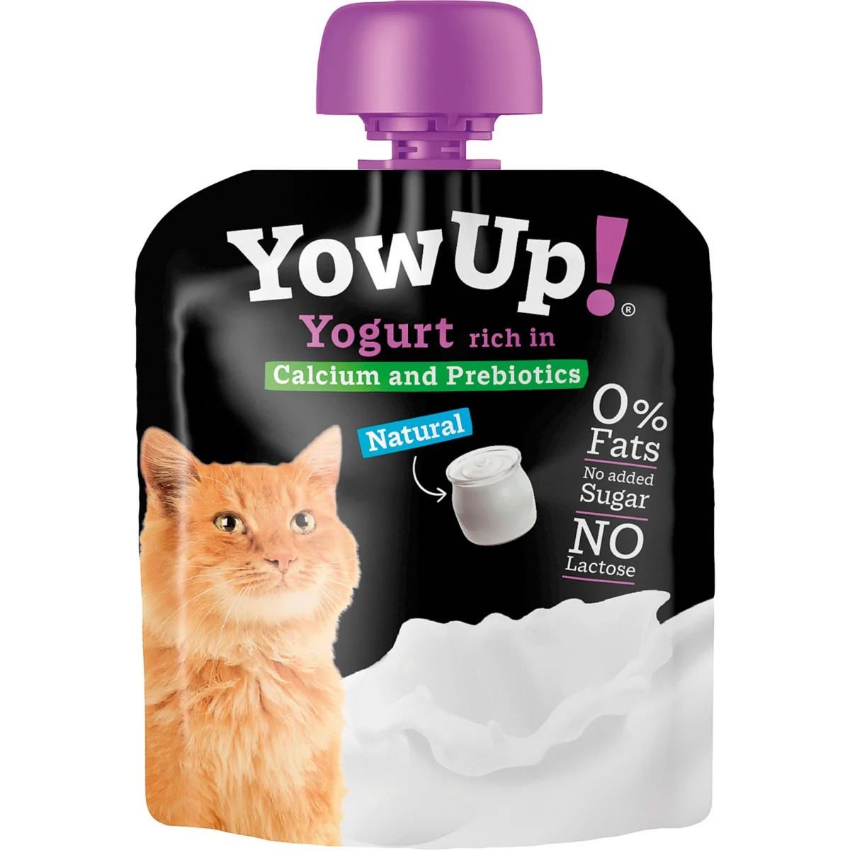 Natural Yogurt for Cats Yowup!