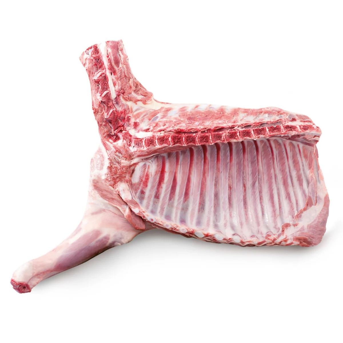 Lamb, cut into quarters, origin Spain