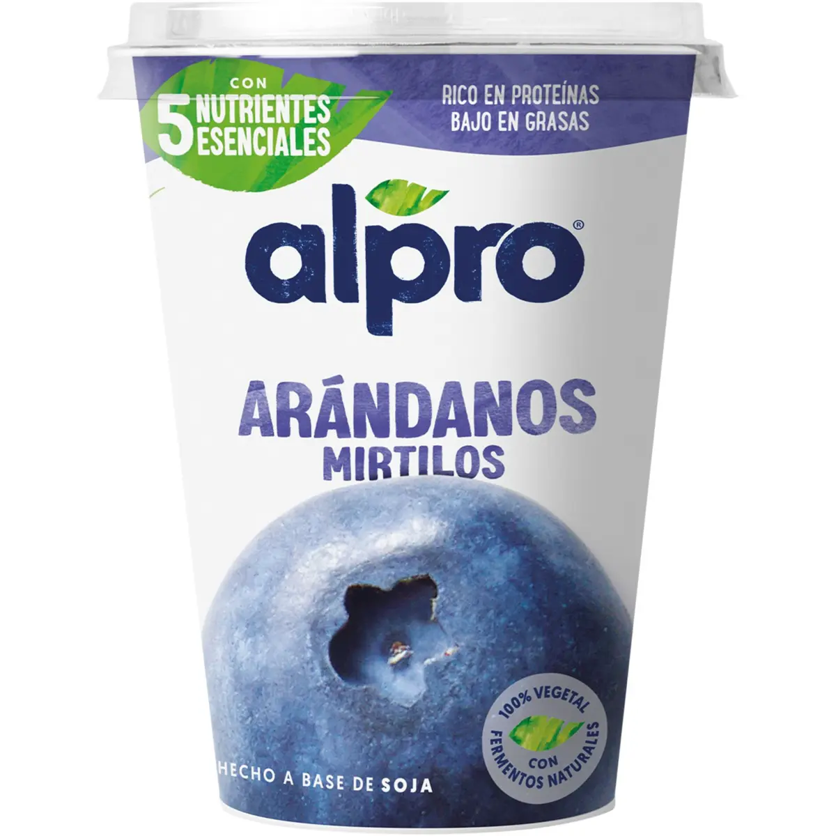 Postre de Soja con Arándanos Alpro