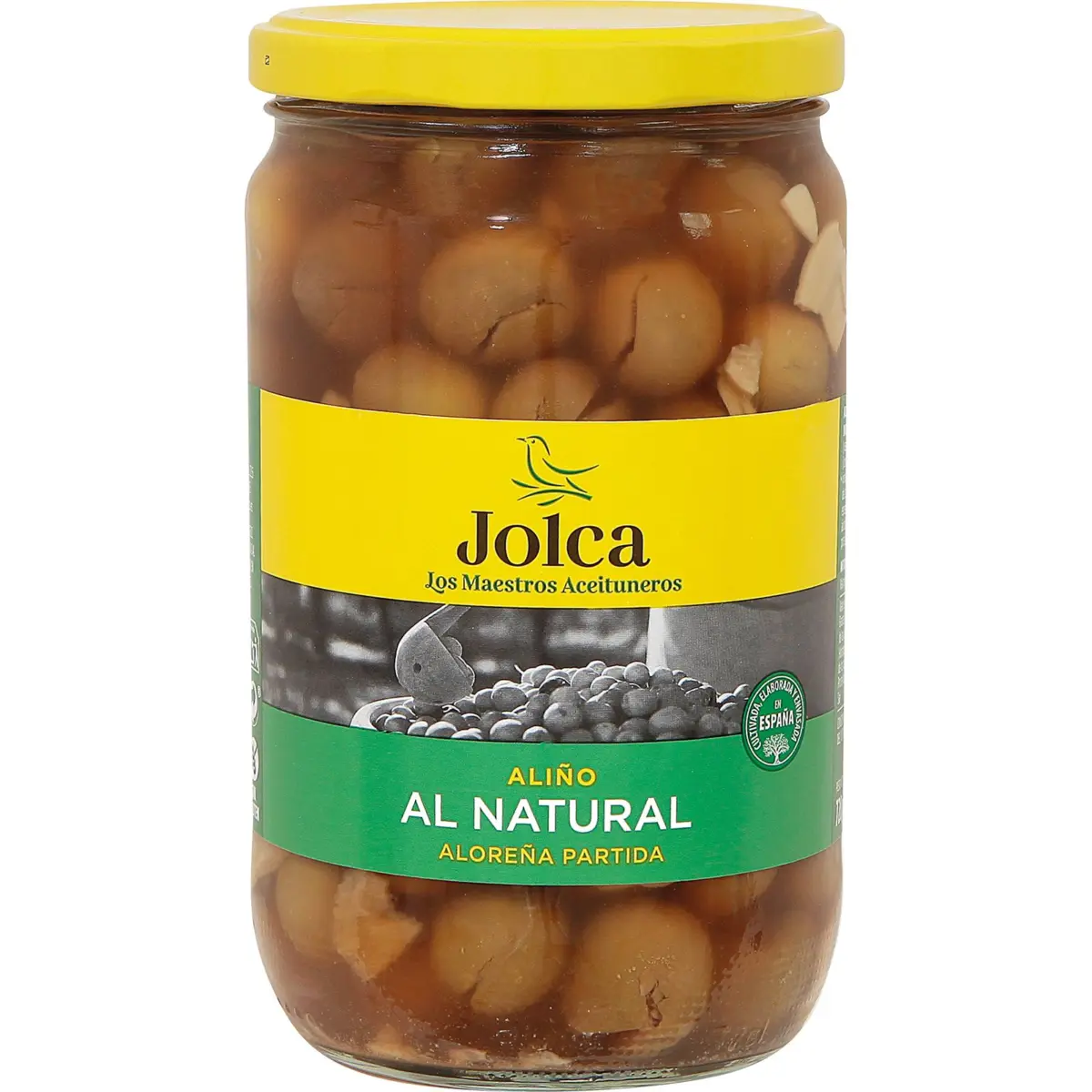 Oliva verda partida amb amaniment natural Jolca