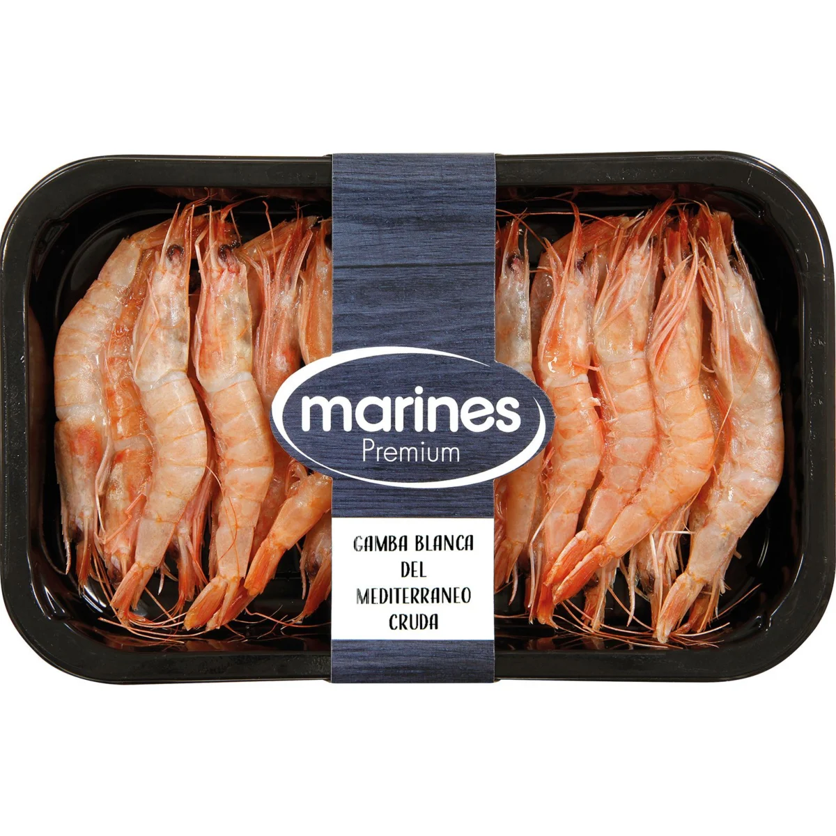 Gamba Blanca Marines