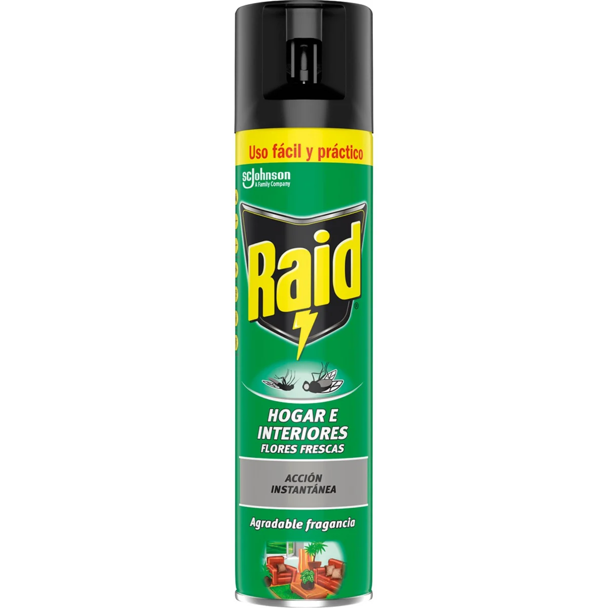Insecticide aérosol pour la maison et l’intérieur Raid