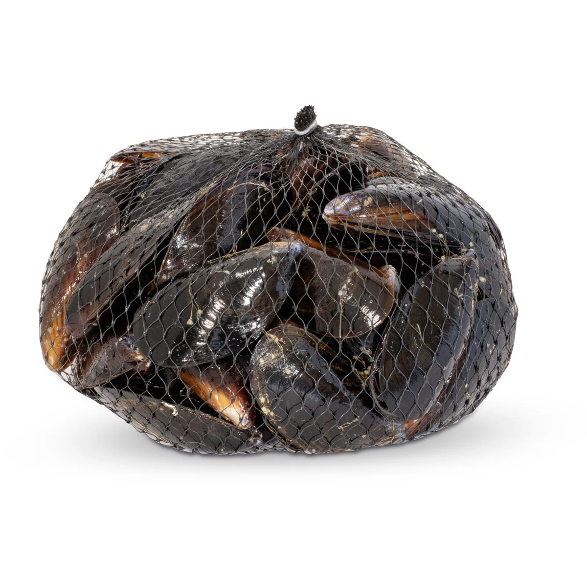 Mussels, approximate weight 1 kg