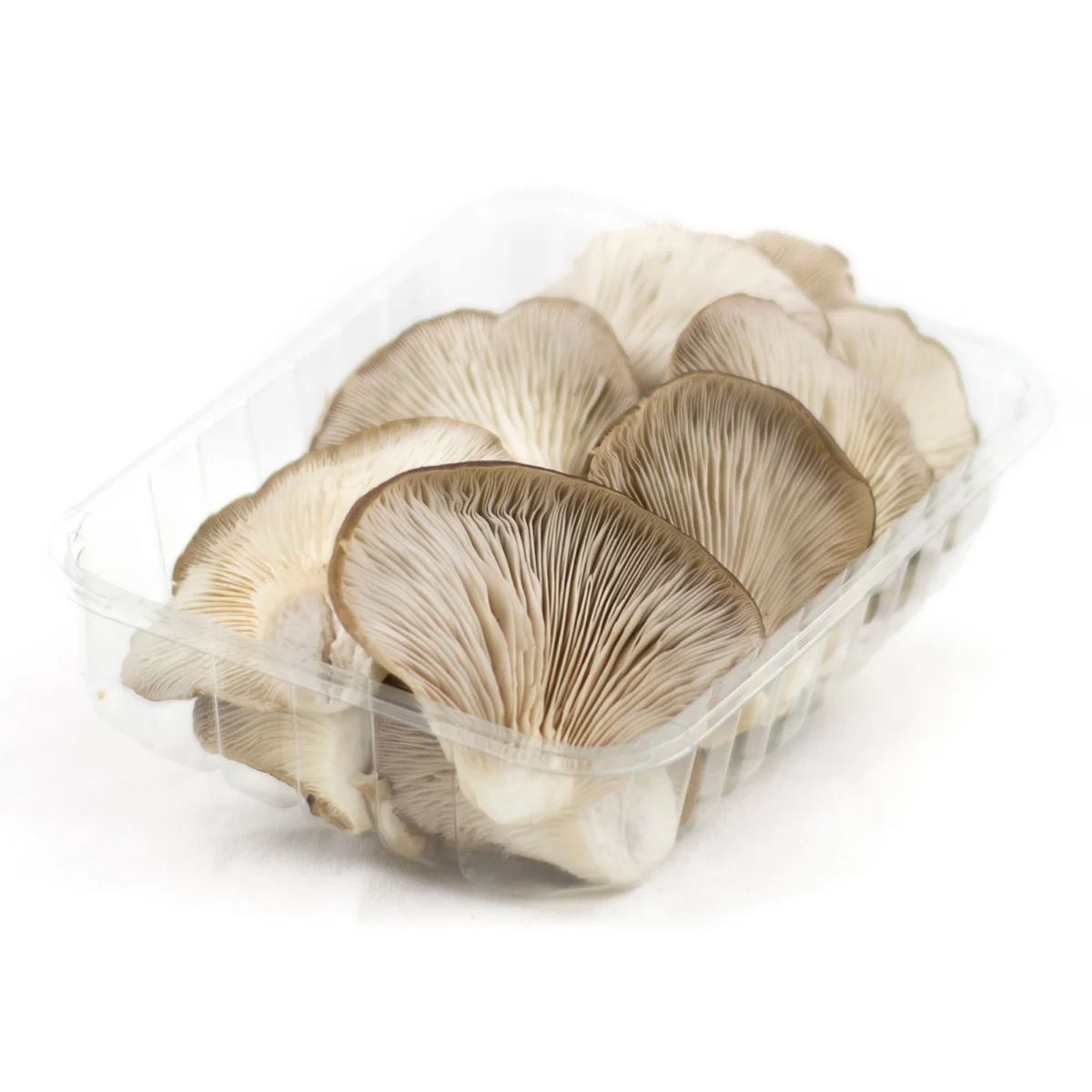 Champignons de culture, poids variable