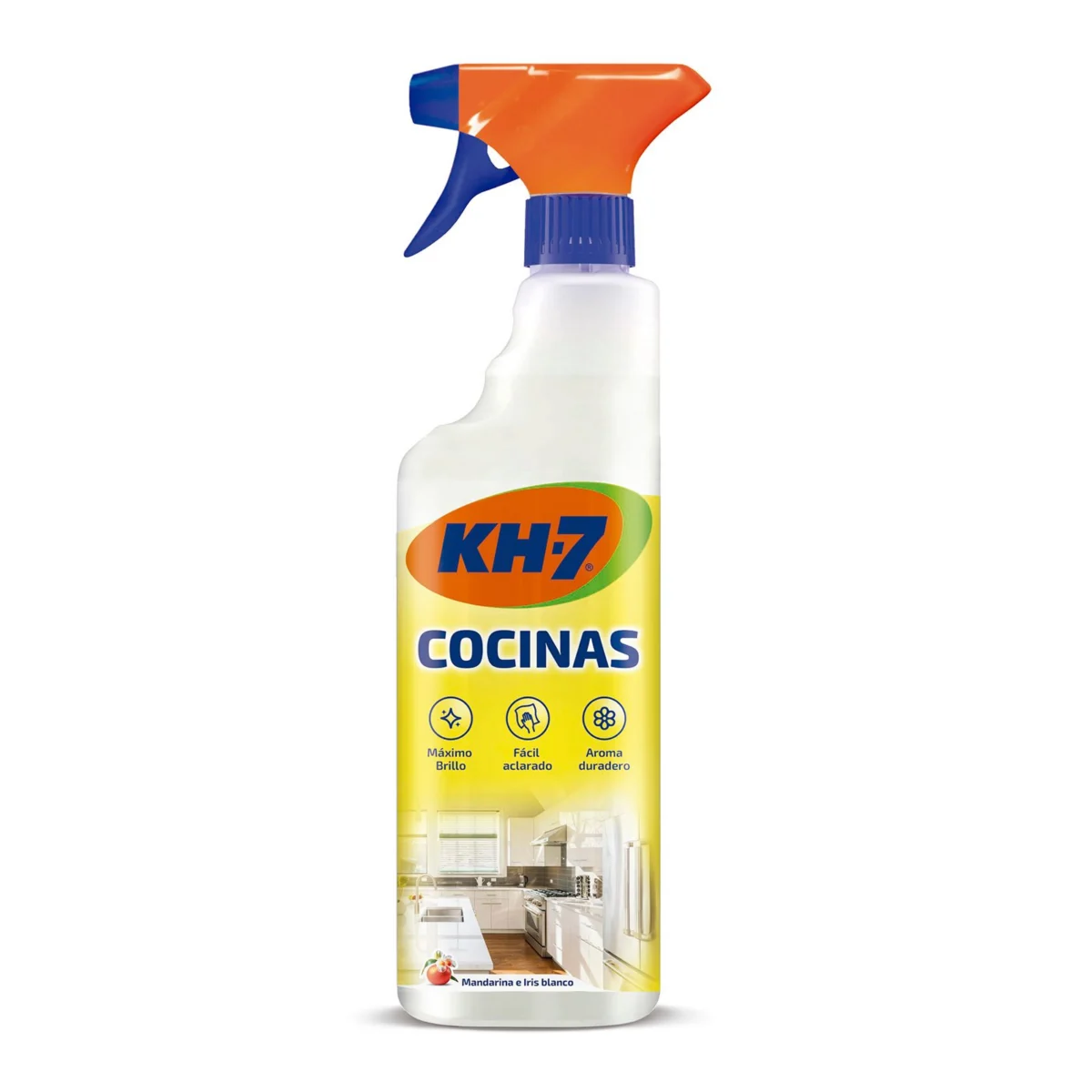 Kitchen cleaner and degreaser Kh-7