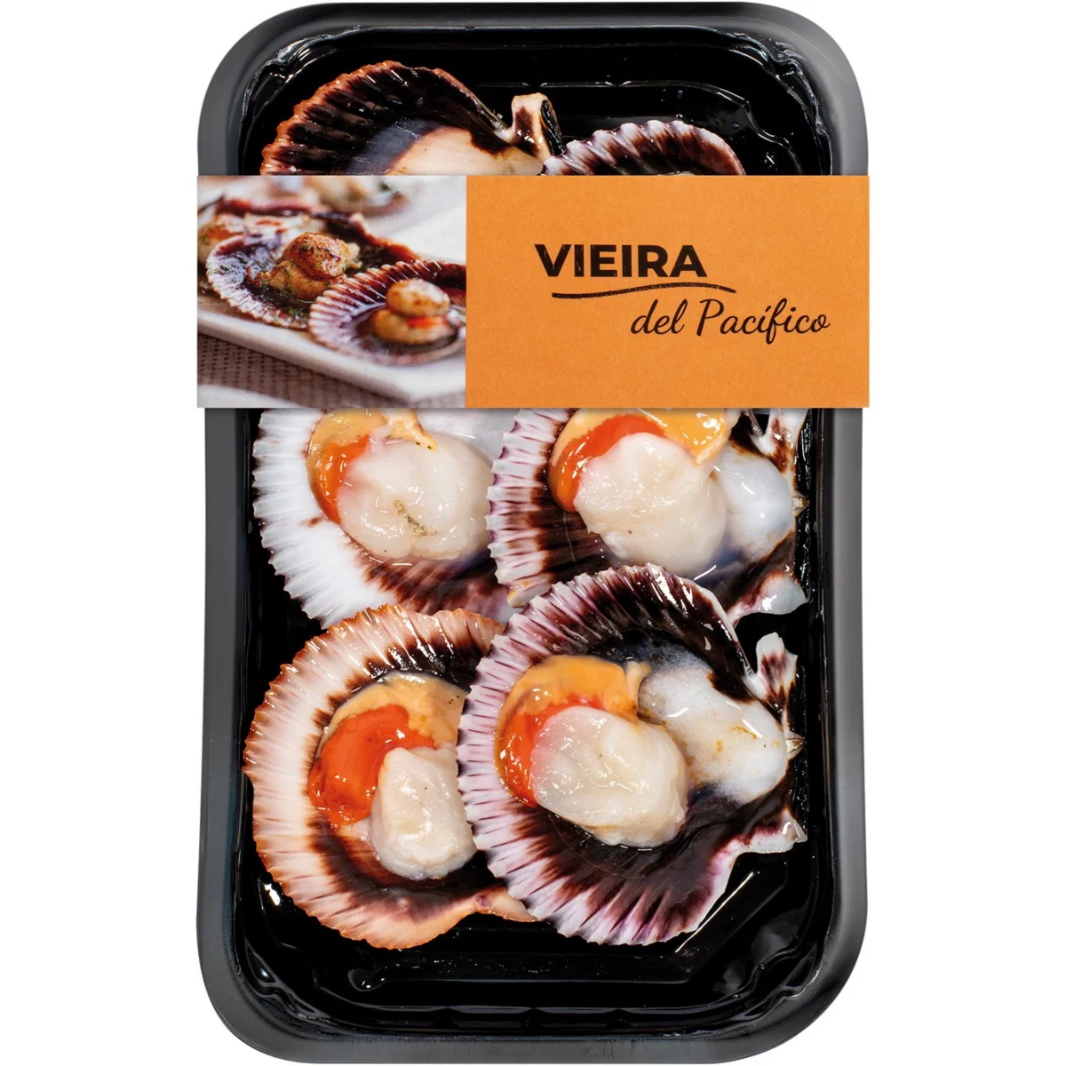 Vieira del Pacifico 6 und