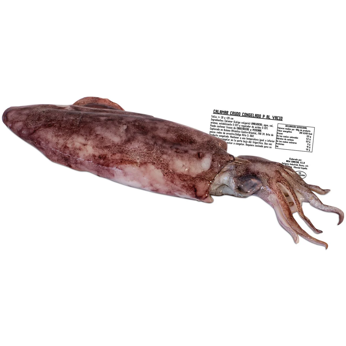 Ganzer Tintenfisch