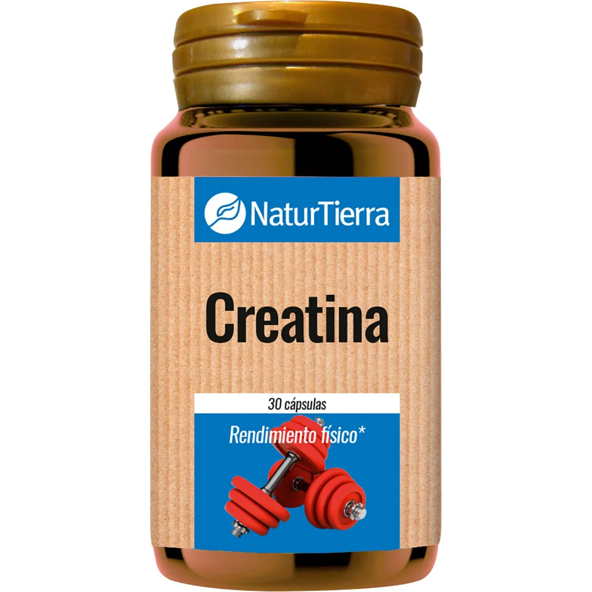Creatine capsules for physical performance Naturtierra