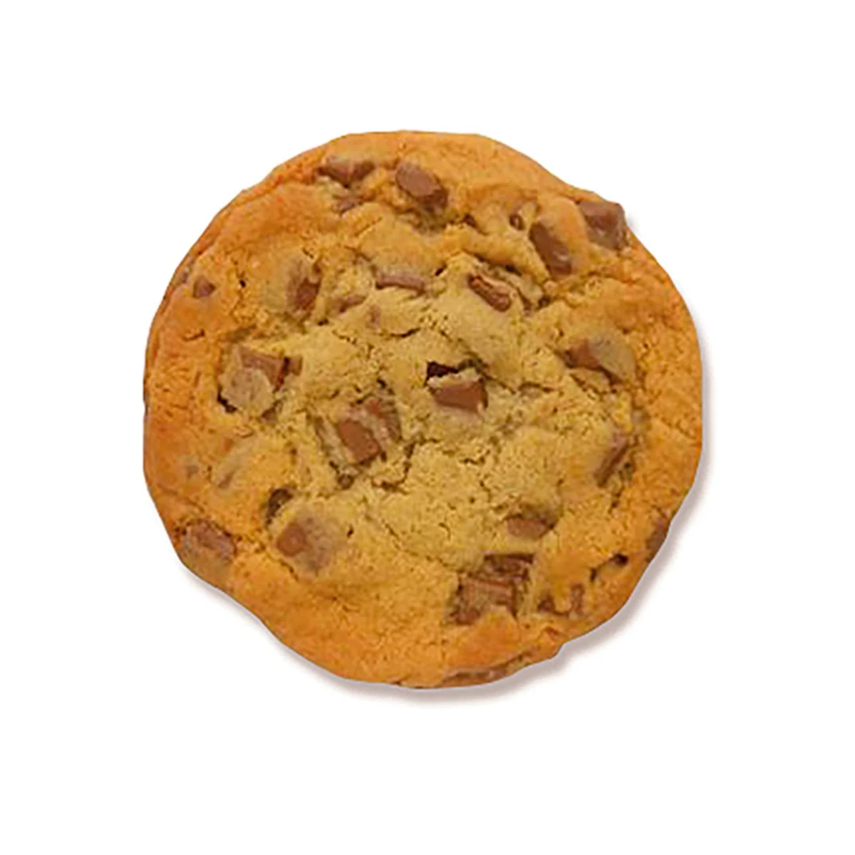 Milk chocolate cookie