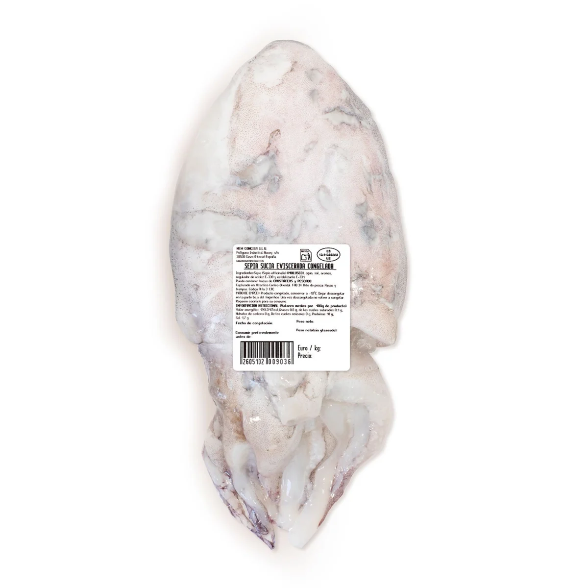 Uncleaned, gutted cuttlefish