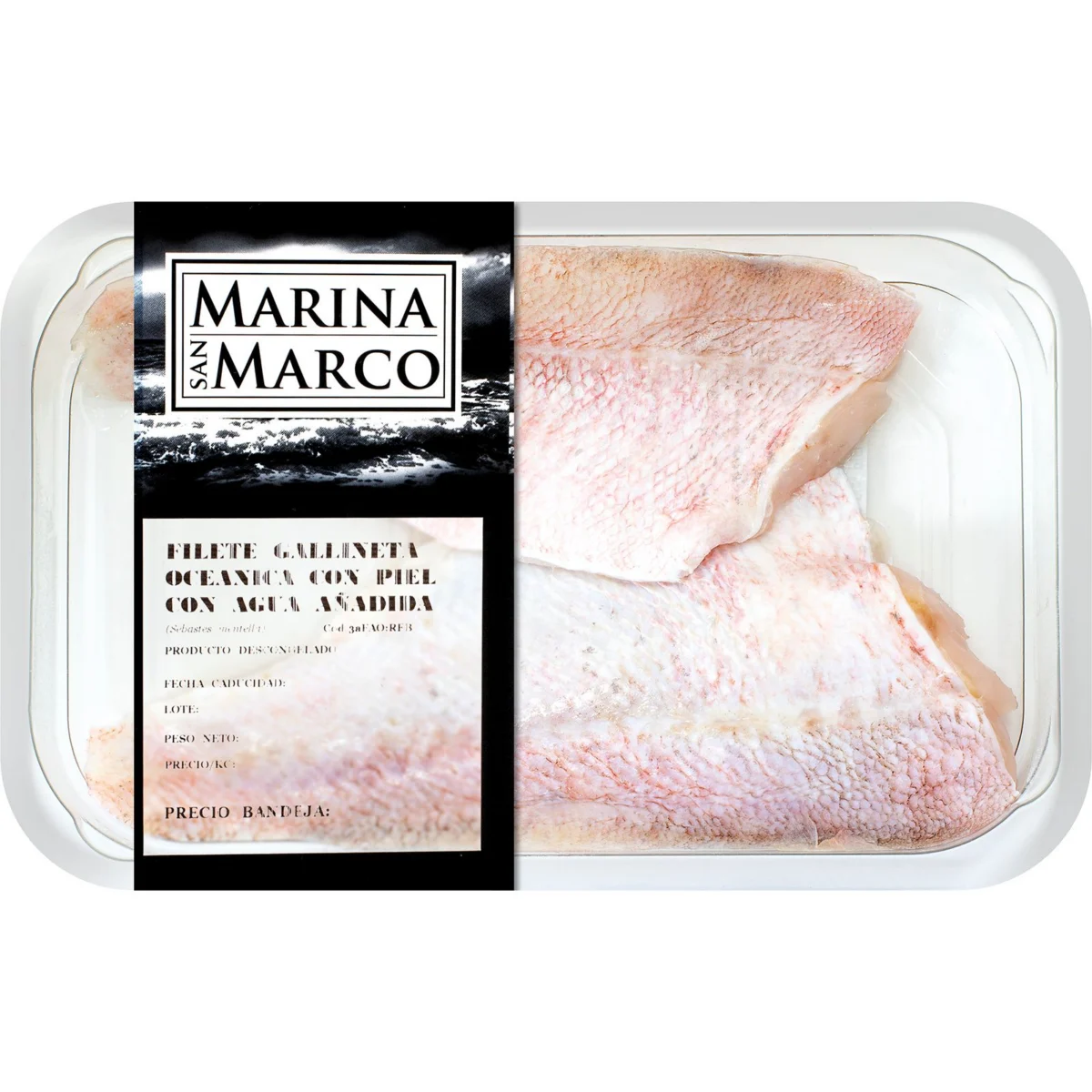 Redfish fillet tray San Marco