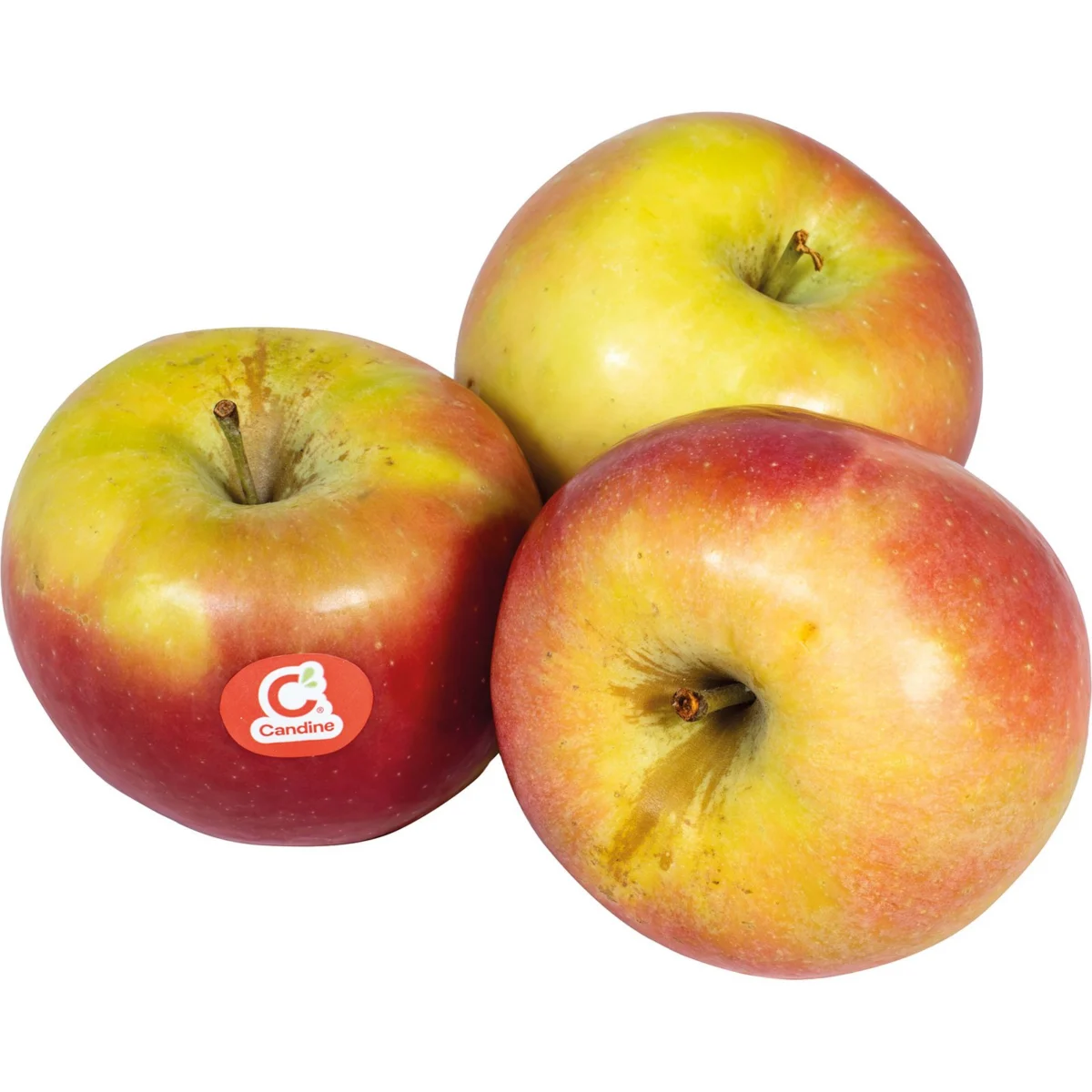 Candine Apfel